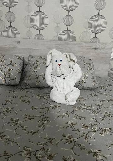 Maison d’hôte pour 2 personnes dans Constanța