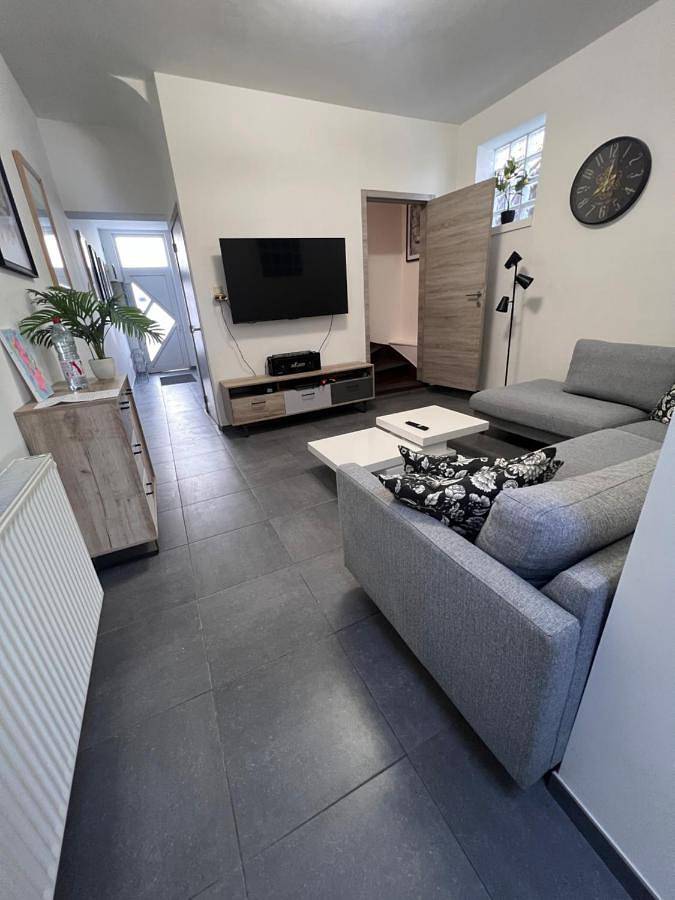 Location de vacances pour 4 personnes, avec terrasse, animaux acceptés à Boussu - 2