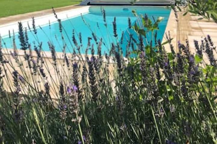 Maison de vacances pour 5 personnes, avec Jacuzzi ainsi que Terrasse et Jardin