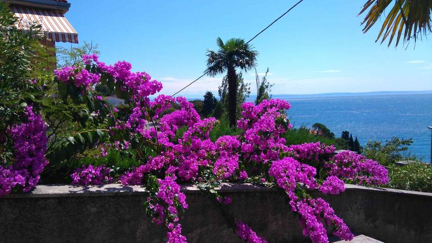 Ferienwohnung für 5 Personen, mit Balkon und Garten in Rijeka - 4