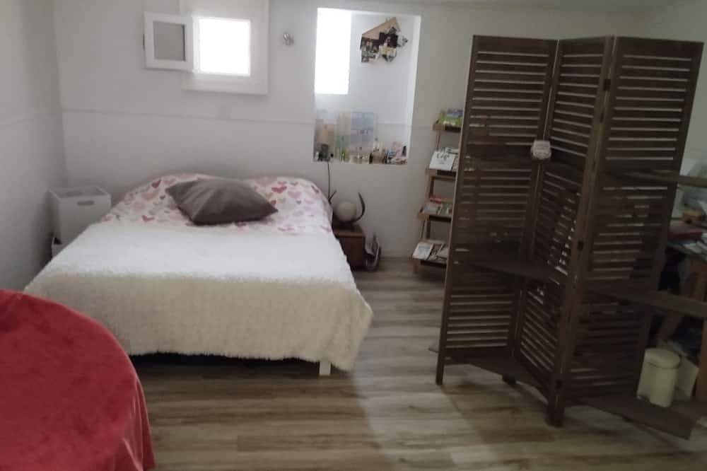 Maison a Louer Situé au Bord de la Dordogne in Saint-André-de-Cubzac, Blaye region