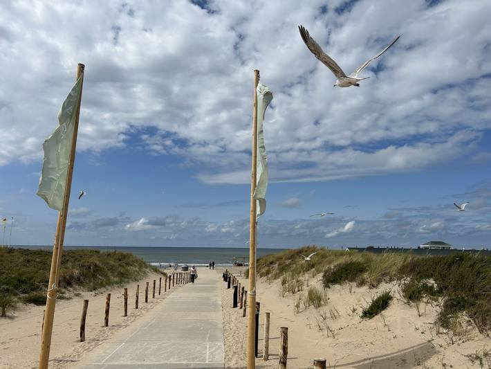 Ferienhaus für 8 Personen, mit Terrasse und Garten in Noordwijk - 2