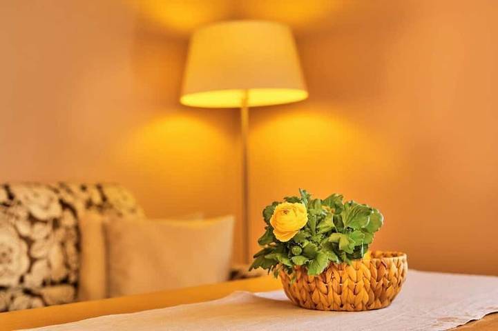 Apartamento inteiro, Cozy allergy-friendly vacation apartment in the Bavarian Forest in Frauenau, Šumava Mountains