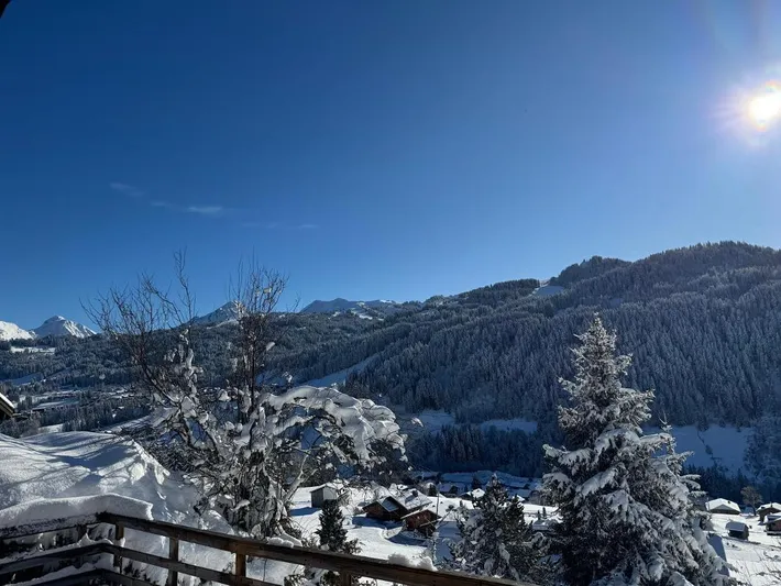 Chalet for 8 people, with terrace and view - 1