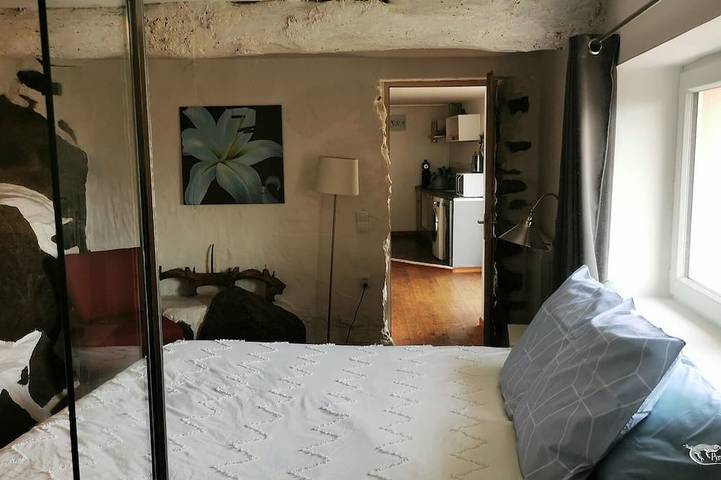 Gîte pour 2 personnes, avec terrasse, animaux acceptés à Felluns - 3