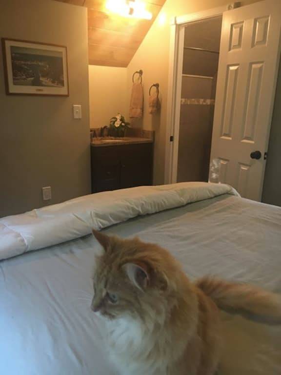 Ganze Wohnung, Northside Lage in Charlevoix Mi in Charlevoix, Charlevoix County