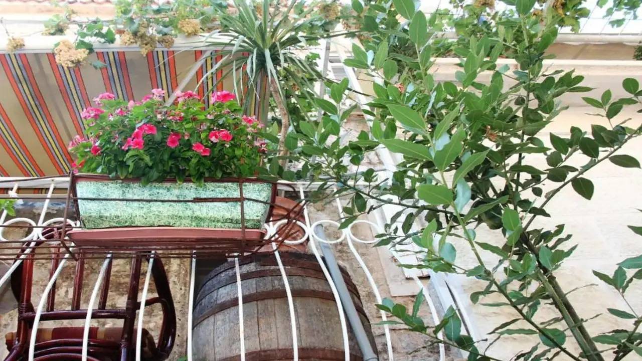 Ferienhaus für 2 Personen (20 m²) in Budva in Budva, Municipio de Budva