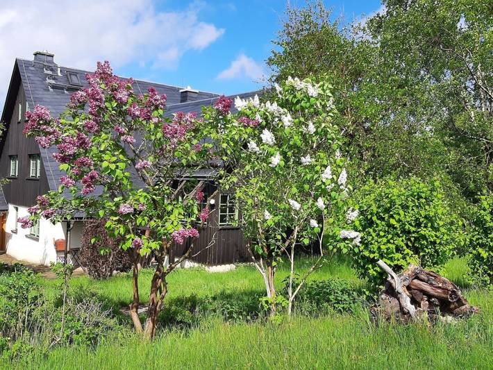 Ferienhaus für 8 Personen, mit Haustier in Altenberg - 2