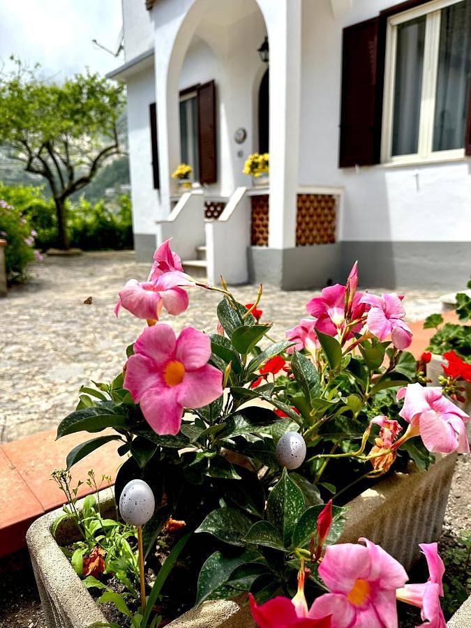 Location de vacances pour 3 personnes, avec jardin et vue à Ravello - 2