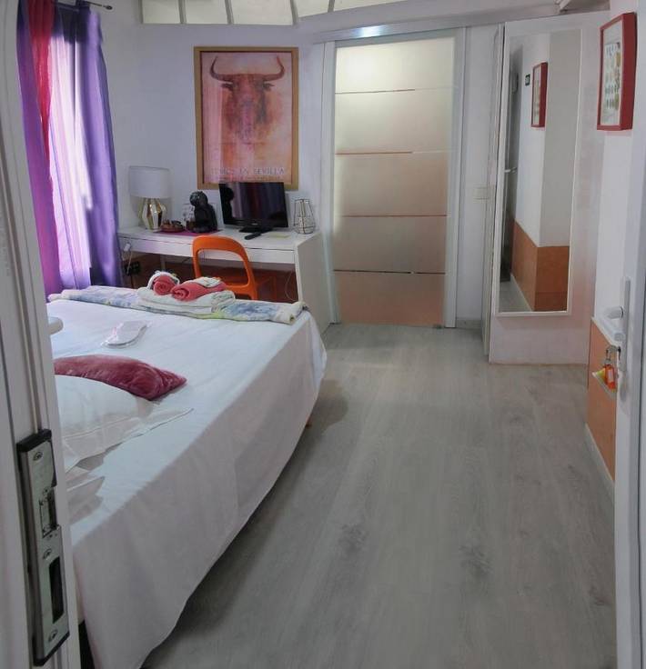 Chambre d’hôte pour 2 personnes, avec Balcon et Jacuzzi ainsi que Terrasse et Vue à Séville - 2