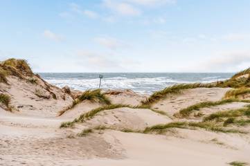 Ferieudlejning til 8 Personer i Ringkøbing, Holmsland Klit, Billede 3