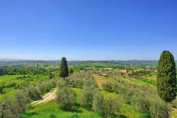 Villa für 4 Personen in Castelfiorentino, Toskana, Bild 4