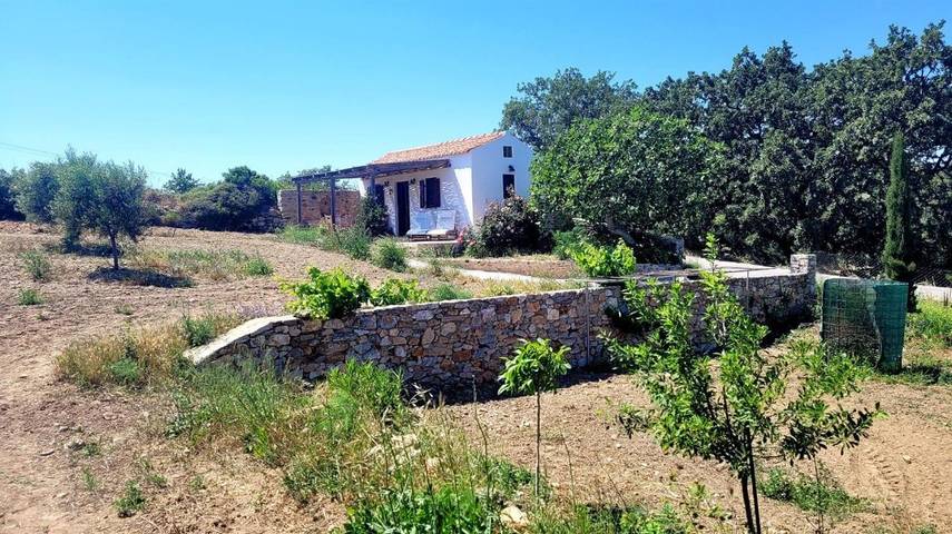 Gîte pour 2 personnes, avec jardin ainsi que terrasse et vue dans Cythère - 3