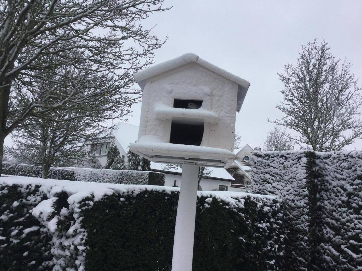 B&B Colombe Blanche in Knokke-Heist, West-Vlaanderen