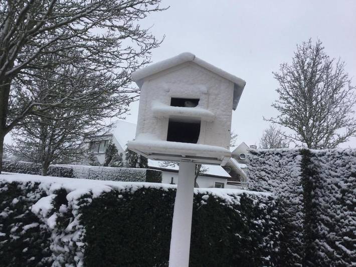 Chambre d’hôte pour 2 personnes, avec jardin et vue à Knokke-Heist - 2
