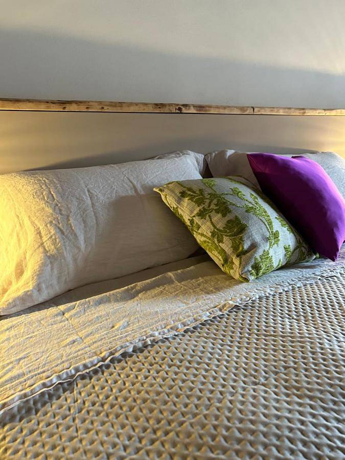 Olioealloro nel Borgo in Campiglia Marittima, Etruskische kust