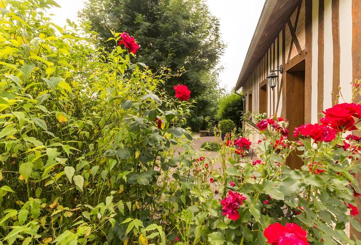 Gîte La Cour Du Four - Deauville with Private Terrace, Garden, and Wi-Fi