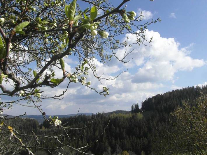 Pircherhof - Urlaub und Erholung im Troadkost'n - Troadkostn 1 in St. Kathrein am Hauenstein, Steirerland