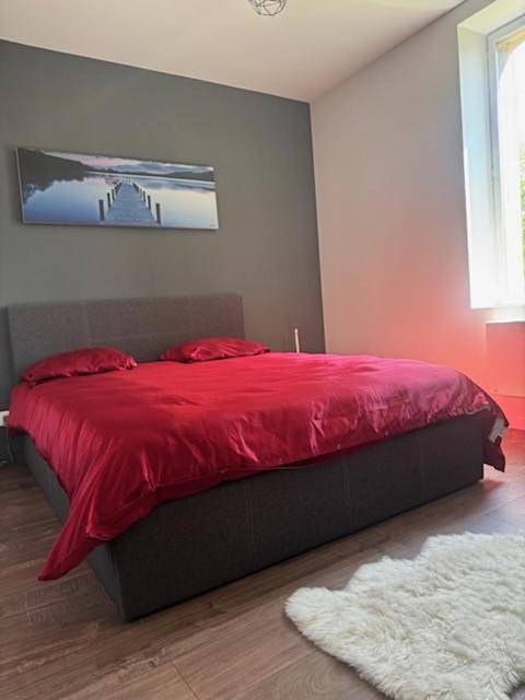 Gîte pour 6 personnes, avec terrasse à Thizy-les-Bourgs - 4