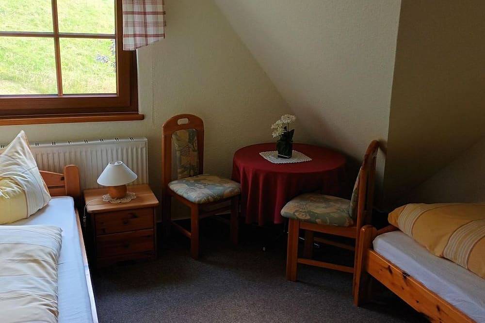 Ganze Wohnung, Große Ferienwohnung im Wohnhaus - Ferienwohnungen Ihle in Altenberg, Osterzgebirge