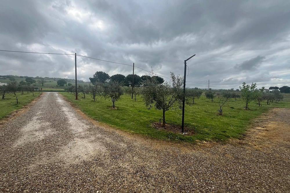 Affittacamere San Mamante - Appartamento \"Iris\" in Faenza, Provincia di Ravenna