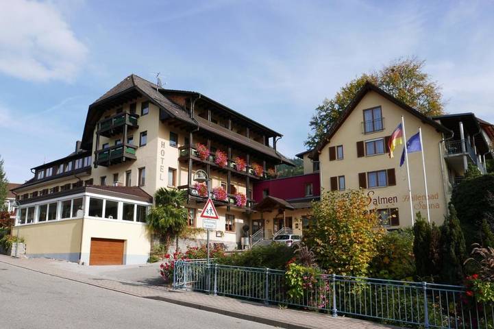 Hôtel pour 2 personnes, avec sauna ainsi que terrasse et piscine, animaux acceptés
