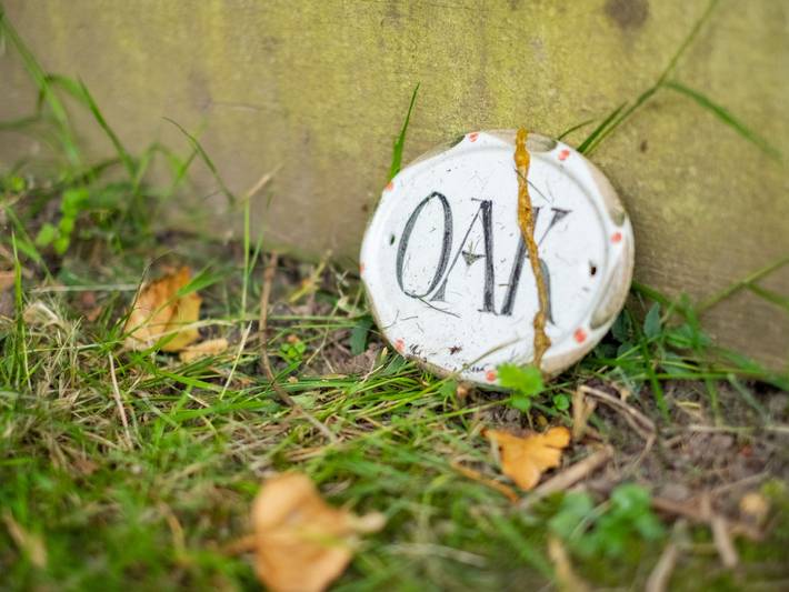 Oak Cottage in Woodmancote, Sussex Occidental