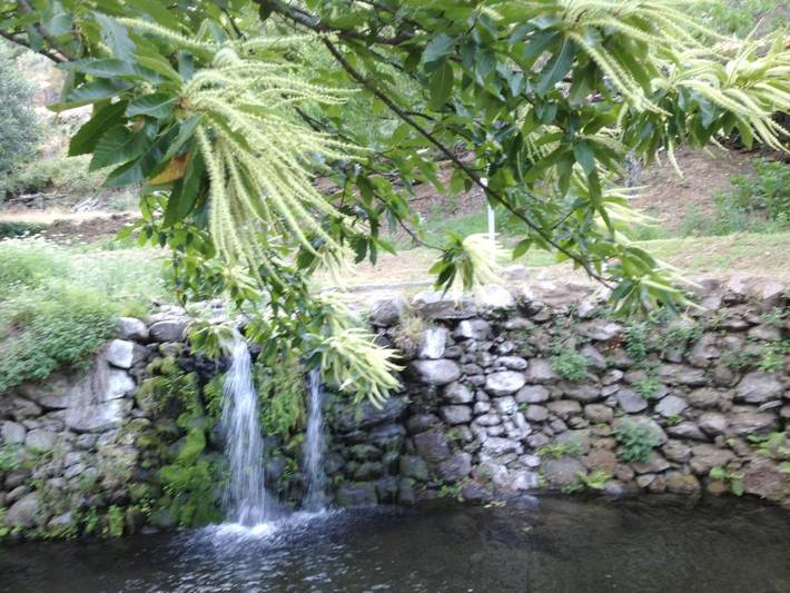 Casa de vacaciones para 12 personas, con vistas además de piscina y jardín, Se admiten mascotas en Sierra de Gata - 3