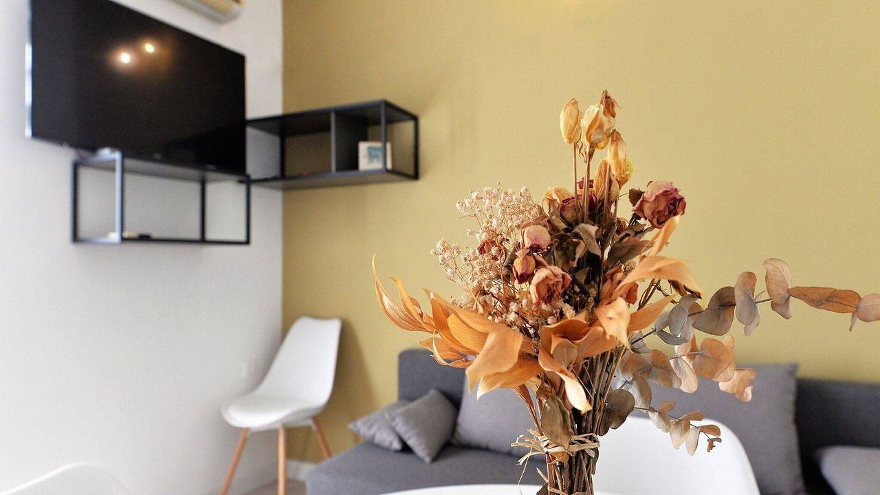 Ganze Ferienwohnung, Ferienwohnung für 3 Personen (33 m²) in Murter in Općina Murter-Kornati, Murter