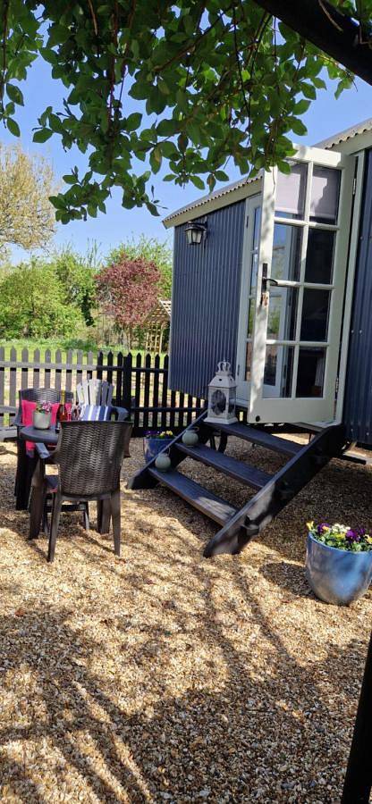 Dolly at Lowlands in Hampshire