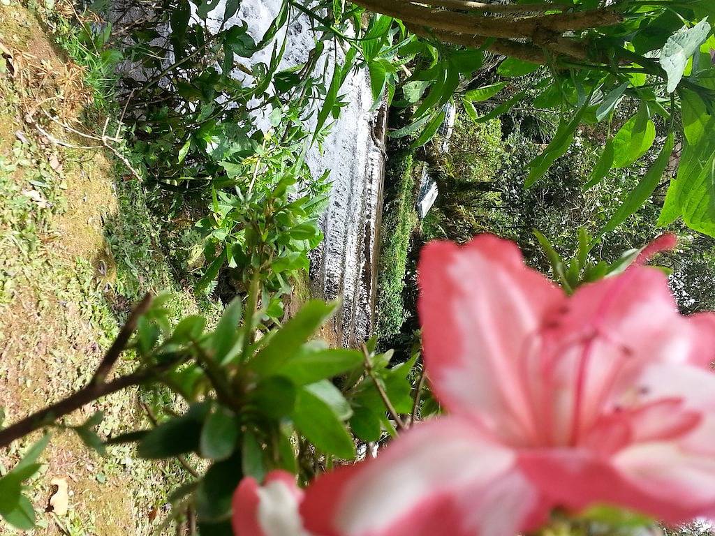 Marcita hat ihre Zuflucht in den Bergen in Monte Verde, Minas Gerais