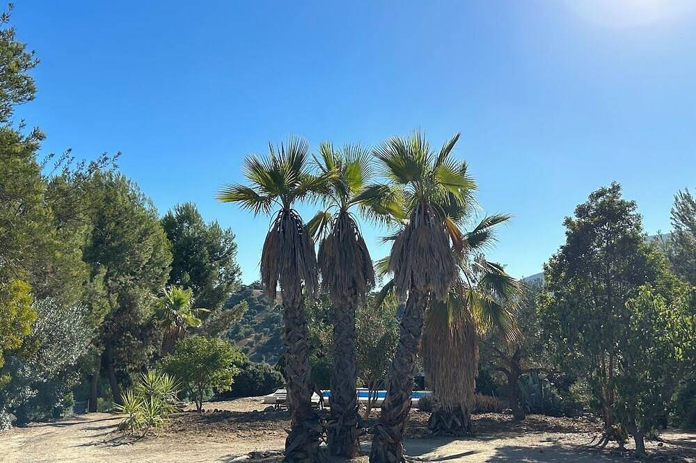 Burruelo Ranch in Algodonales in Algodonales, White Villages