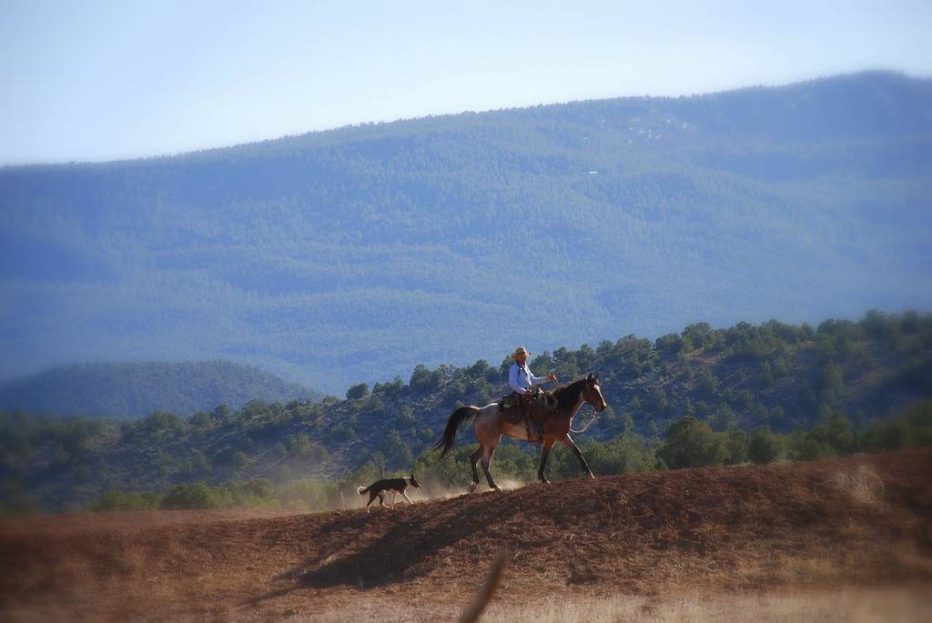 Lvbar Ranch - Cabin #2 in Mohave County