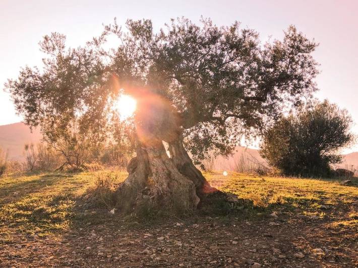 Casa rural para 4 personas, con piscina además de jardín y vistas en Valle del Guadalorce - 2