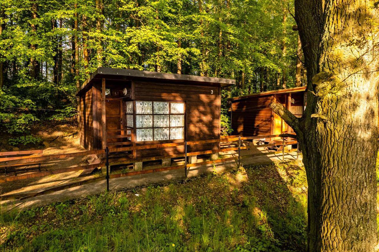 Chalet in Podlasie