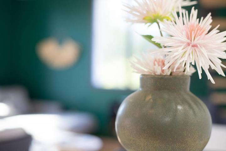 Gîte pour 4 personnes dans Plage d'Albigny - 2