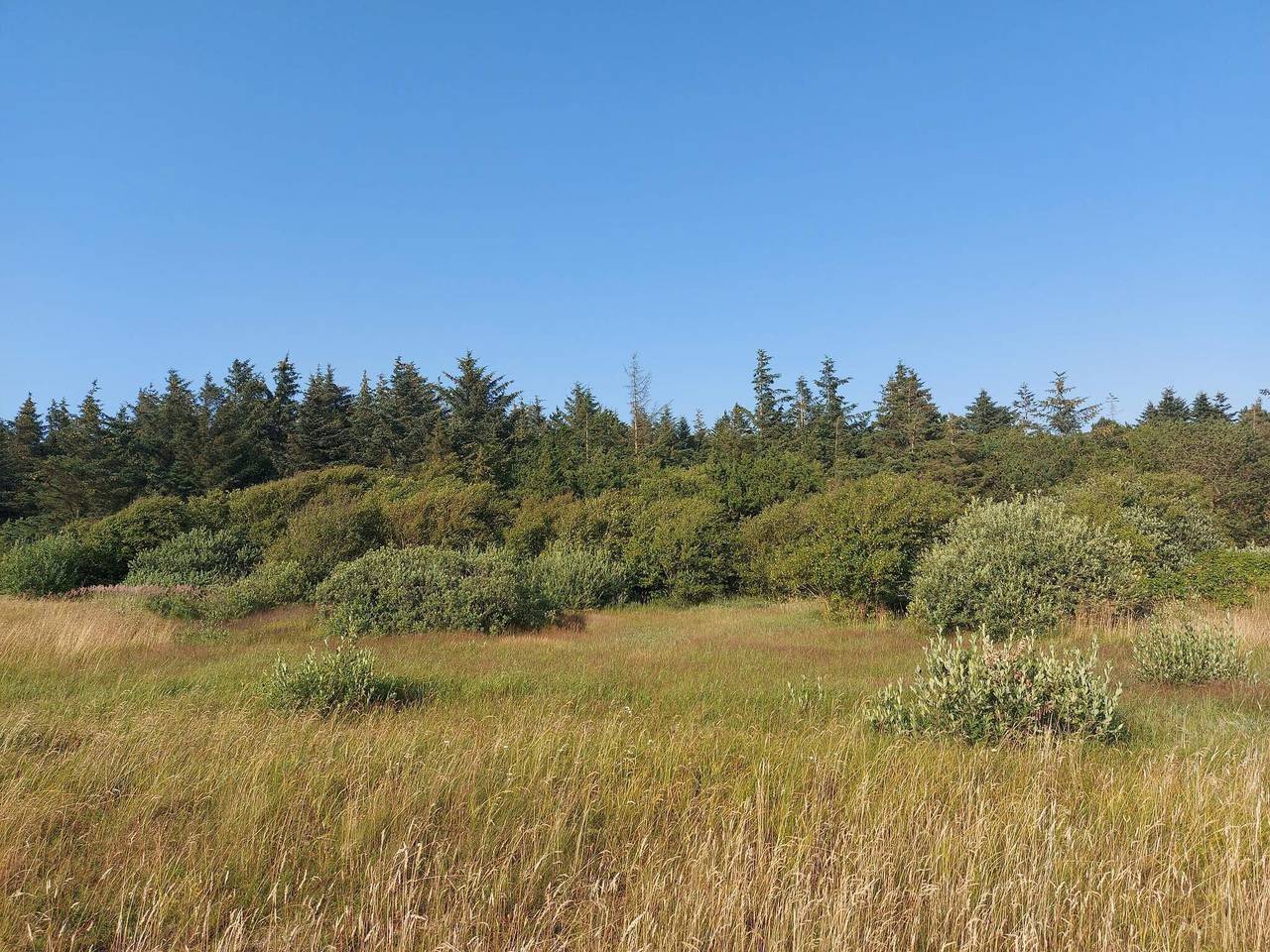Strandflucht in Mors -- By Traum Ferienwohnungen in Erslev, Morsø