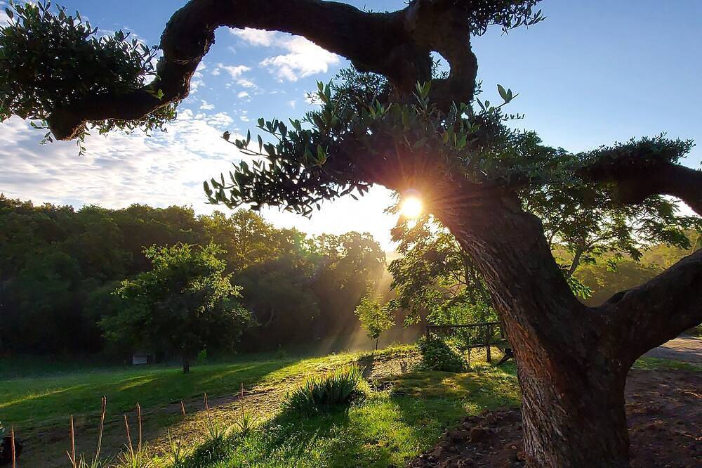 Gite de Campagne à 10 min du Bord de mer in Muzillac, Côte des Mégalithes