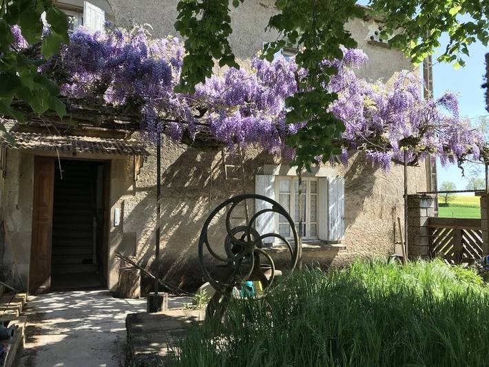 Chambre d’hôte pour 2 personnes, avec piscine et jardin, animaux acceptés dans le Tarn - 2