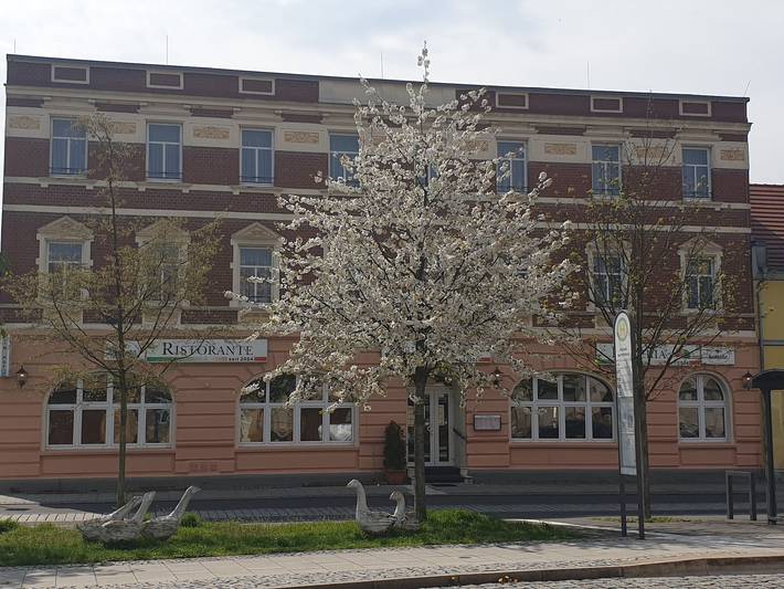Hotel für 3 Personen, mit Terrasse in Senftenberg - 4