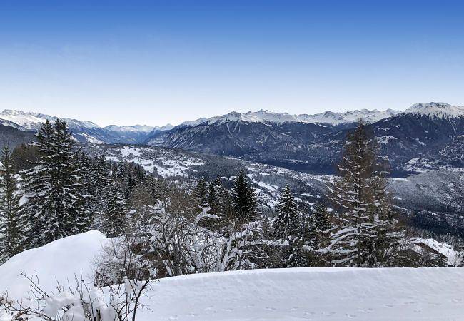 Tiny House facing the Alps - Ski in and out in Ayent, Sion - Sierre & Umgebung