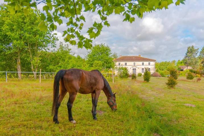 Maison d’hôte pour 2 personnes, avec jardin ainsi que terrasse et vue, animaux acceptés à La Gripperie-Saint-Symphorien