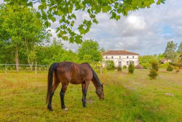 Gîte pour 3 personnes, avec vue ainsi que jardin et terrasse, animaux acceptés à La Gripperie-Saint-Symphorien