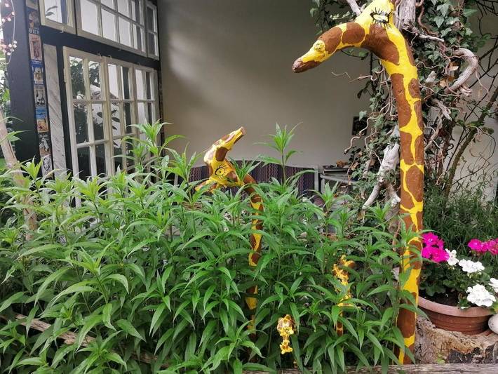 Ferienwohnung für 5 Personen, mit Terrasse und Garten sowie Ausblick in Unken