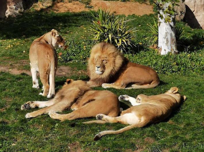 Gîte pour 3 personnes, avec jardin et piscine à Mur-de-Sologne - 3