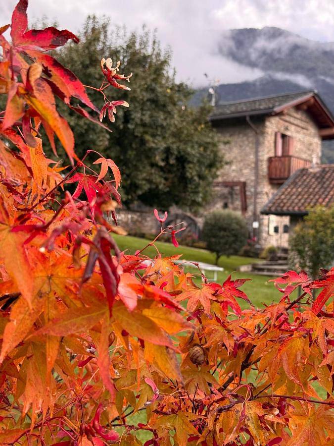 Villa per 4 persone, con giardino e vista lago nonché panorama a Colico