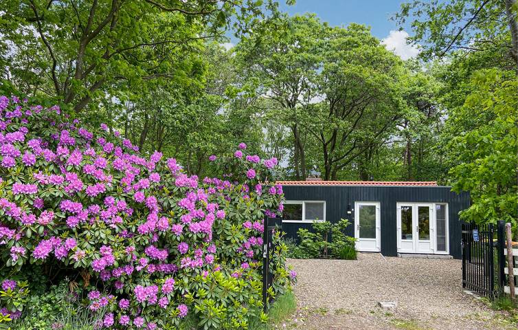 Vakantiehuis voor 6 personen, met Terras en Tuin in Holten