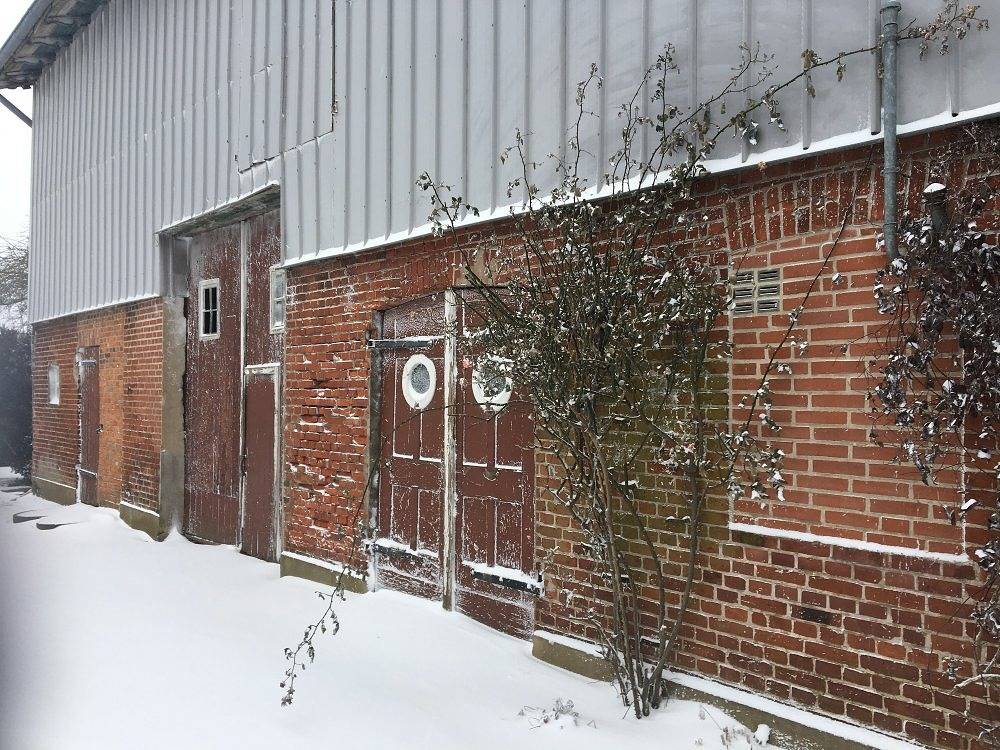 Ferienhof Schulz - Frische Landluft in Brodersby, Rendsburg-Eckernförde