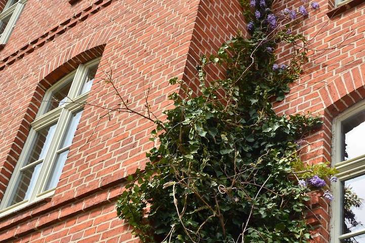 Ferienhaus für 12 Personen, mit Garten und Terrasse in Naturpark Barnim