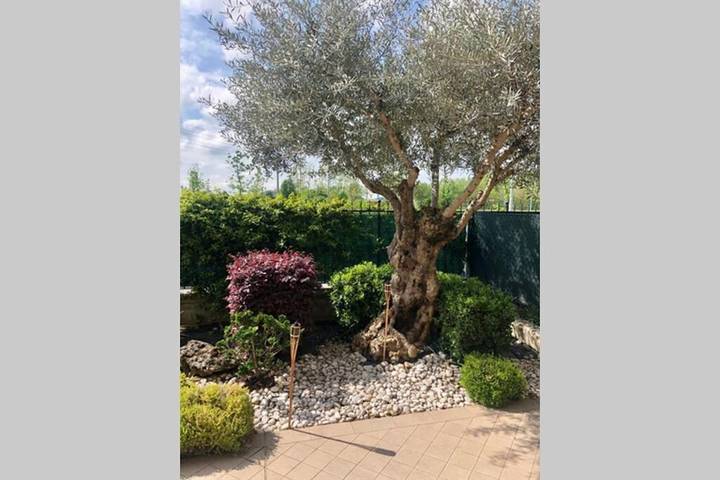 Appartamento per 4 persone, con Terrazza e Giardino a Montichiari